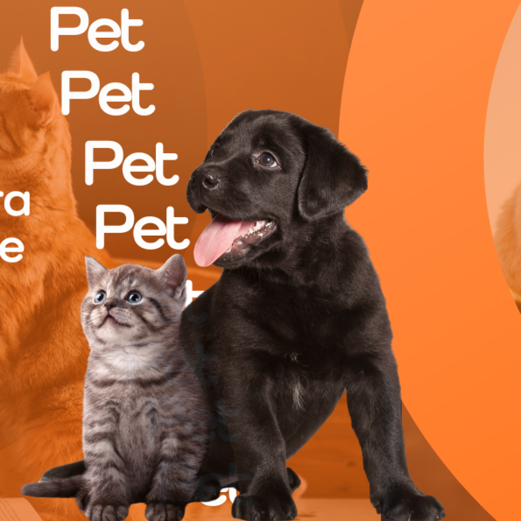 seguro pet